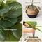 3ft. Artificial Fiddle Leaf Fig Tree With Handmade Cotton & Jute Woven Planter Set DIY Kit